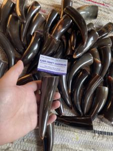 Punta de Cuerno de Búfalo Natural, Color Natural, Alta Calidad - Product Image 2