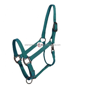 Style de selle anglaise personnalisée de haute qualité en nylon durable pour chevaux licou avec logo personnalisé pour l'équitation utilisation équestre - Product Image 3