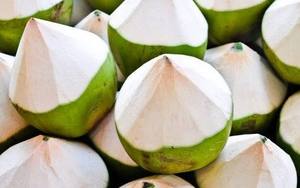มะพร้าวอ่อนเวียดนามสด ทั้งลูก ปอกเปลือก หัวตัดเพชร หวานธรรมชาติ มะพร้าวพรีเมียม ผลไม้เมืองร้อน ส่งออก ขายส่ง - Product Image 5