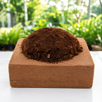 Blocs de tourbe de coco 100% biologique 5kg, triplement lavés, faible EC, pH acide, légers, haute rétention d'eau, biodégradables, écologiques