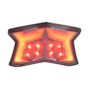 He Z900 Supernaked 2020-2024 Motorcycle Led <b>Tail</b> Light with Turn Signal Brake Smoke lens - Product Image 1