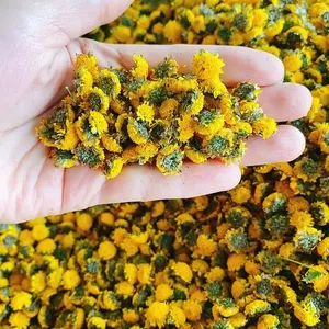 ดอกเดซี่คาโมมายล์ขายดี แพ็คเกจใหญ่ ปี 2026 ส่วนผสมบริสุทธิ์ ช่วยผ่อนคลายและปรับปรุงคุณภาพการนอนหลับ - Product Image 5