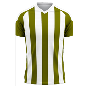 <b>Men's</b> Green <b>White</b> Striped V-Neck Soccer Jersey Short Sleeve Breathable Polyester Regular Fit All Seasons Apparel - Product Image 1