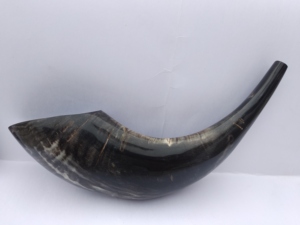 Corne de Bélier / Corne de Mouton Artisanat Naturel 100% Corne de Bélier Naturelle Polie Shofar pour la Récitation - Product Image 3