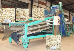 Vietnam <b>Large</b> Capacity Kernel Classify Machine High Quality Manufacture Vietnam - Product Image 2