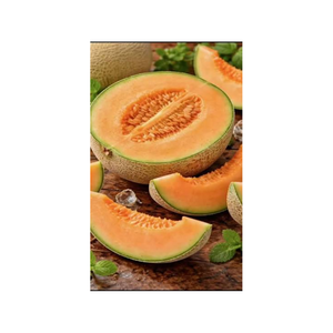 Melón Fresco de Primera Calidad, Dulce y Jugoso, para Suministro al por Mayor y Exportación Internacional - Product Image 6