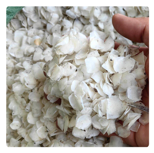 Escamas de Pescado de Calidad de Exportación, Materia Prima Marina de Grado Alimenticio, Vietnam - Product Image 1