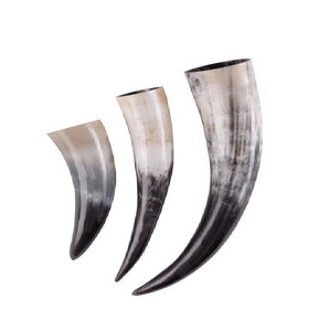 Jarra de Cerveza de Lujo Hecha a Mano con Cuerno de Búfalo y Base de Madera para Exhibición y Servicio - Product Image 5