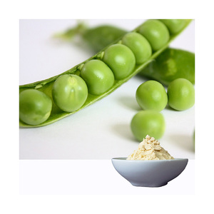Péptidos de proteína de guisante de etiqueta limpia, fórmula de alta absorción, suministro a granel, venta al por mayor, en stock - Product Image 2