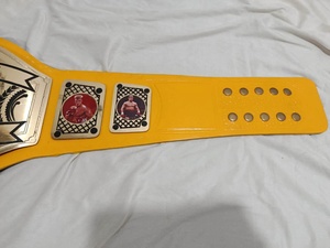 Ceinture de champion personnalisée avec plaque en métal jaune et boucle en alliage - Product Image 5