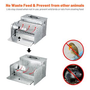 Mangiatoia per Animali, Mangiatoia per Polli - Product Image 5