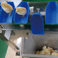 Machine automatique de classement des huîtres Machine à trier et à peser les poussins Trieuse de poids de volaille