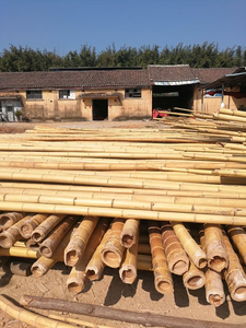 Poteaux en bambou de haute qualité 2026 - Vente flash ! !! Exportation mondiale - Meilleur matériau de construction pour la construction et le jardinage - Product Image 5