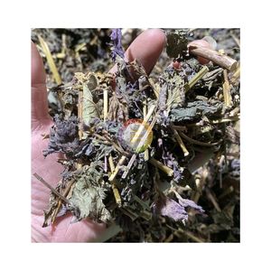 100% NATURAL PURPLE PERILLA LEAVES JAPANESE SHISO LEAF AIR DRIED PROCESSING CUSTOM <b>PACKING</b> WHOLESALE <b>CHEAP</b> PRICE COOLING TEA - Product Image 1
