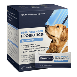 Complément alimentaire multivitaminé biologique OEM/ODM pour chats et chiens - Probiotiques et prébiotiques pour le soutien intestinal et immunitaire en poudre - Product Image 3