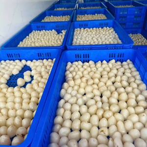 Lychees surgelés IQF, export Vietnam, OEM ODM disponible - Product Image 1