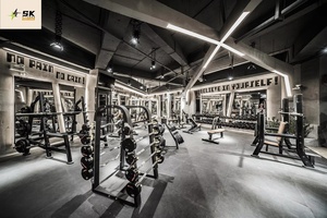 Projet clé en main de centre de remise en forme SK dans un centre commercial, équipement de gym haut de gamme, ensemble complet pour l'entraînement de force et cardio. - Product Image 4