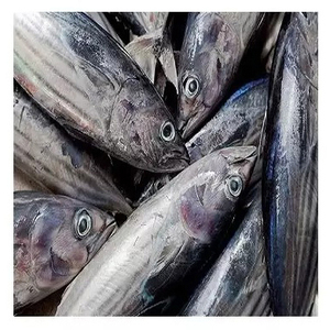 Proveedor mayorista de mariscos, bacalao congelado a la venta a precio económico - Product Image 3