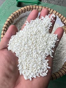 Vente en gros directe d'usine de riz gluant |   Riz Blanc Gluant de Haute Pureté en Vrac pour l'Exportation (OEM/ODM Disponibles) - Product Image 3