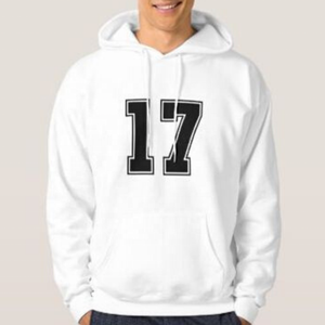 Sudadera con Capucha Extra Grande para Hombre, Personalizada, de Alta Calidad, Ecológica, de Poliéster/Algodón, para Invierno, Suministro OEM ODM - Product Image 5