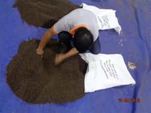 [Fabricante Confiable] Mejor Precio Pimienta Negra 5mm 500g Certificada por ASTA Binh Phuoc de Agrikim Supplier +84399521266 Sra. Mia - Product Image 5