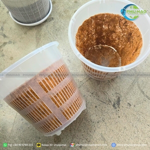 Cinta de Fibra de Coco Biodegradable para Jardín, Alternativa sin Plástico para Atar Plantas, de Alta Calidad y Buen Precio - Product Image 2