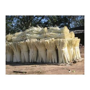 MOST WANTED Dried Corypha Leaf For Efficient Craft Weaving Raw Material And Interior <b>Wall</b> Hanging Decor Unit Cargo Box - Product Image 4