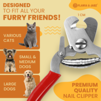 FLAMIA & JABZ Coupe-ongles professionnels en acier inoxydable pour chiens