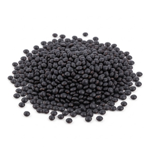 Lentejas Negras con 99% de Pureza Natural y Rico Contenido Nutritivo para Compradores Mayoristas de Ingredientes Alimenticios - Product Image 1