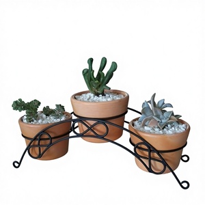 Customized Size Planter <b>Stand</b> Newest Design Irregular Shape Black Powder Coated Iron <b>Plant</b> <b>Stand</b> For Wholesale Supplier - Product Image 1