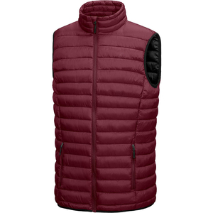 Chaleco Acolchado para Hombre, Ligero, Cálido, para Actividades al Aire Libre, sin Mangas, para Golf, Senderismo, Viajes Casuales - Product Image 1