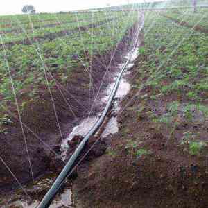 Tuyau d'irrigation en polyéthylène de 40 mm, 100 mètres, tuyau de pulvérisation robuste pour l'irrigation des fermes, produisant une brume d'eau fine et uniforme - Product Image 5