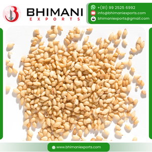 Semillas de Sésamo Blanco Frescas Naturales de la India de Primera Calidad, 99.99% de Pureza, Limpiadas a Máquina, 23 mm, Humedad 5%, Bolsas de 25 kg, Certificación HACCP - Product Image 2