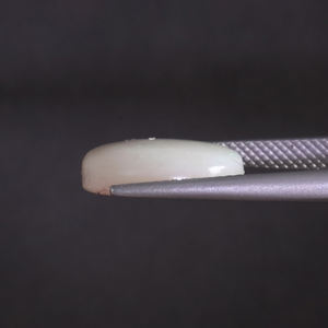 โอปอลพลอยหลวม 5.53 กะรัต รูปทรงวงรี 14.5x12 มม. ตัดด้วยมือ ขัดเงา ได้รับการรับรองจาก IGI สีขาวธรรมชาติ ผ่านการแว็กซ์/น้ำมัน - Product Image 2