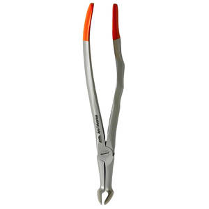 Fórceps de extracción Dental Premium, instrumentos quirúrgicos de raíz, Instrumentos dentales, Dental fórceps de extracción, acero inoxidable - Product Image 4