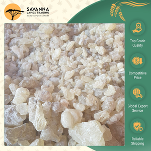 Fabricante y Proveedor Líder en Indonesia, Resina de Goma Damar de Primera Calidad 100% Genuina, Servicio OEM Personalizado - Product Image 5