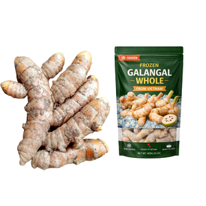 99 GD ข่าแช่แข็ง ยี่ห้อ Frozen Galangal บรรจุภัณฑ์แบบกำหนดเอง รากข่าผ่านกระบวนการ IQF/BQF ทำความสะอาดและปอกเปลือก ข่าขายดี ปี 2026 - Product Image 1