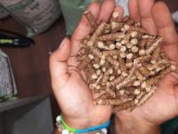 Granulés de bois de pin premium 6 mm, combustible biomasse pour chaudières industrielles