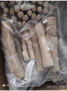 ไม้เคี้ยวสำหรับสุนัขที่เป็นมิตรกับสิ่งแวดล้อม – ทนทานและปลอดภัยสำหรับสุนัข // Mr.Tom - Product Image 5