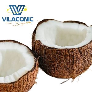 Poudre de noix de coco déshydratée non sucrée, faible teneur en matières grasses, qualité A1, grain fin |   Marque Vilaconic/Marque privée Vietnam - Product Image 4