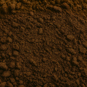 Engrais en poudre de fumier de vache écologique, conditionneur de sol organique riche en activité microbienne pour l'agriculture durable, export en vrac - Product Image 6