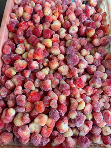 Fraises congelées du Vietnam IQF en vrac, fruits naturels pour usage industriel - Mme Tarina - Product Image 2