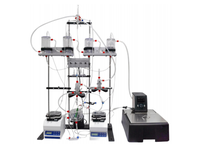 Sistema de Simulación de Carga Cardíaca In Vitro para el Estudio del Metabolismo del Miocárdio y la Investigación sobre Enfermedades Cardíacas