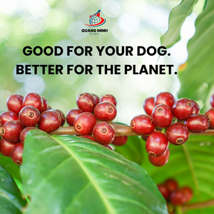 Bâton à mâcher pour chien en bois de café naturel, jouet pour chien durable pour le nettoyage des dents, fournitures écologiques pour animaux de compagnie, vente en gros - Product Image 5