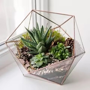 Indoor Decor Glass Metal Terrarium Planter Stylish Indoor Plant Holder Geometric Home Decoration - Product Image 1