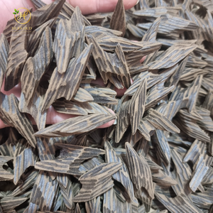 Bois de Oud Tigre à Arôme Complexe - Product Image 4