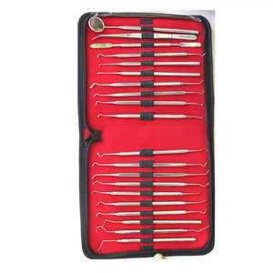 Manual Dental Instruments Surgical Cleaning Teeth Tools Kit Leather <b>Case</b> CE ISO Certified Class II 1 Year By Grip Surgical - Product Image 4