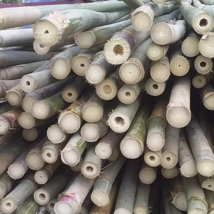 Usine au Vietnam, poteaux en bambou naturel pour la construction, meubles, matériaux de construction en bambou, fournisseur en gros, export - Product Image 1