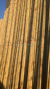 Poste de Bambú Natural Resistente de 4-10 m de Longitud y 3-10 cm de Diámetro para Construcción, Jardinería, Soporte de Plantas, Cercas y Decoración - Product Image 5