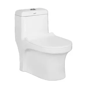 Meilleure qualité Fournisseur figurant sur la liste Vente Design moderne Double chasse en céramique Blanc Sanitaire Armoire toilette une pièce